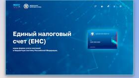 Что происходит с сайтом Налог.ру в Технопарк
