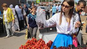 Что такое покупательная способность доходов в Технопарк