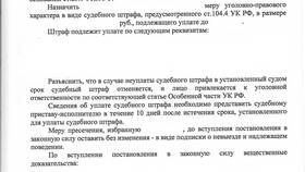 Что такое судебный штраф в Технопарк