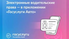 Как оформить водительские права через Госуслуги в Технопарк
