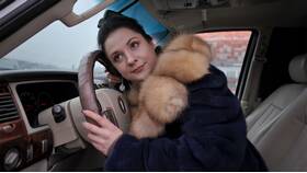 Как получить копию договора в ГИБДД в Технопарк