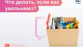 Как позвонить на горячую линию Wildberries в Технопарк