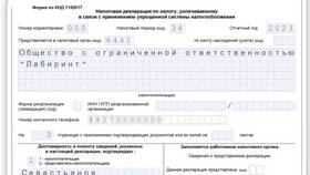 Как сдать декларацию УСН для ИП в Технопарк