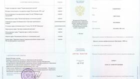 Как выглядит стандартная справка для поступления в Технопарк