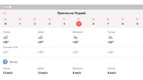 Яндекс Погода: проценты дождя - что это в Технопарк