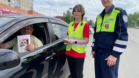 За что отвечает ГИБДД в Технопарк