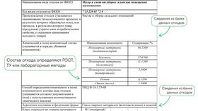 Зачем требуют скан паспорта: цели и безопасность